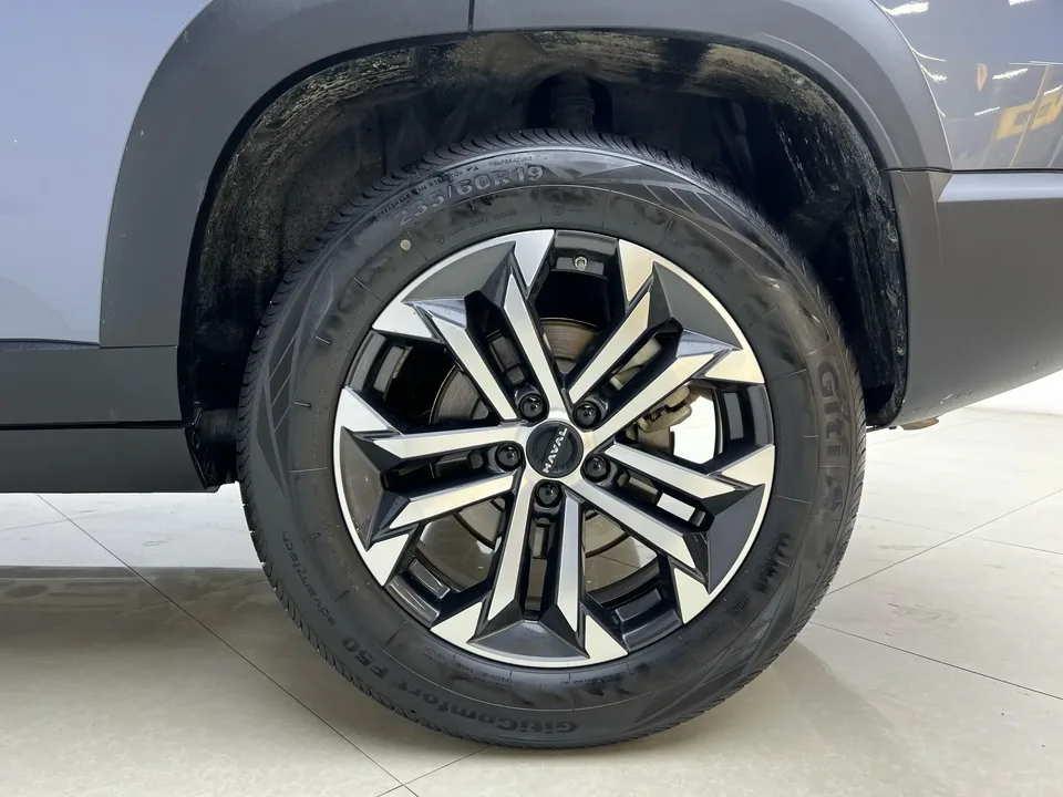 Haval Dargo Harvard dog 2024 1.5T 2WD Border Collie Edition 2025 — thumbnail 3