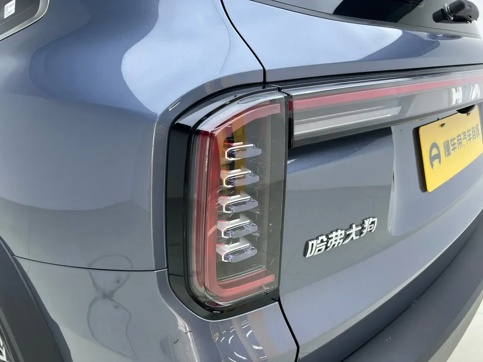 Haval Dargo Harvard dog 2024 1.5T 2WD Border Collie Edition 2025 — thumbnail 4