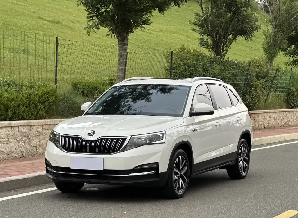 Skoda Comek Comek 2022 1.5L Automatic Comfort Edition 2022 — photo 1, buy with delivery to Moscow