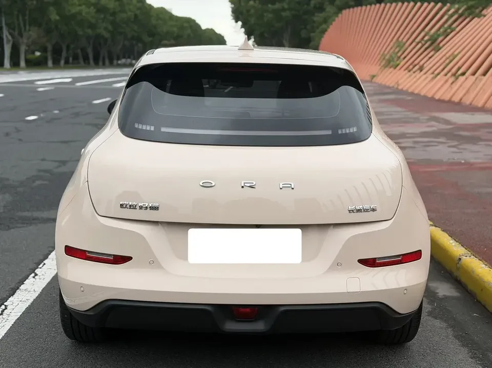 ORA Euler good cat Euler good cat 2023 401km standard endurance luxury lithium iron phosphate 2023 — thumbnail 2
