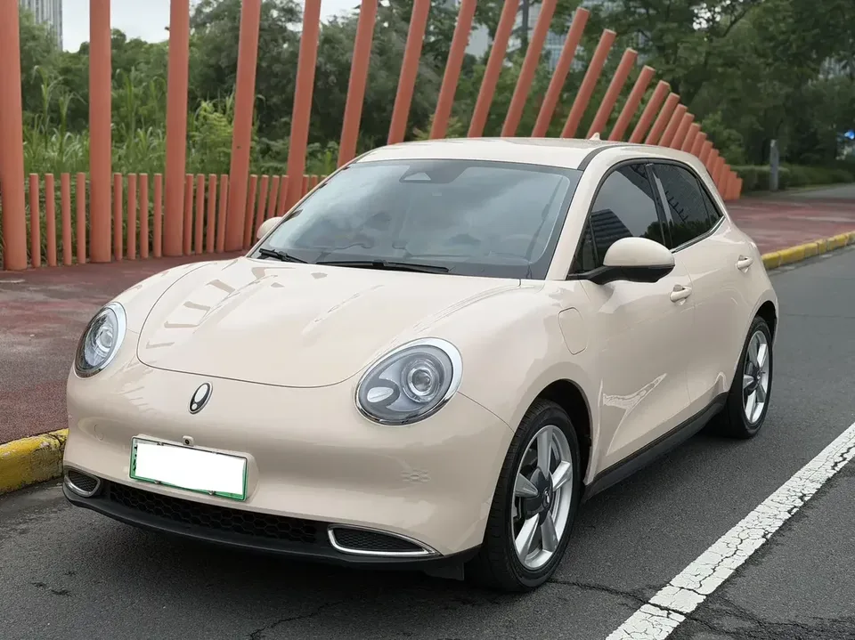 ORA Euler good cat Euler good cat 2023 401km standard endurance luxury lithium iron phosphate 2023 — photo 1, buy with delivery to Moscow