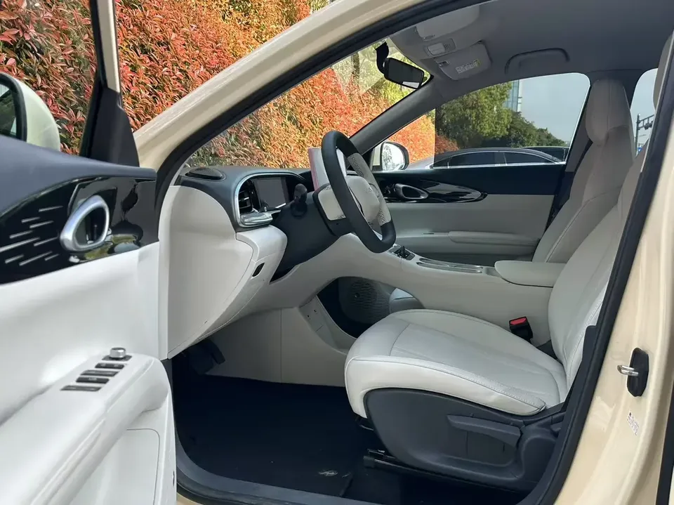 Geely Star Wish Star Wish 2025 310km Dream Edition 2025 — миниатюра 3