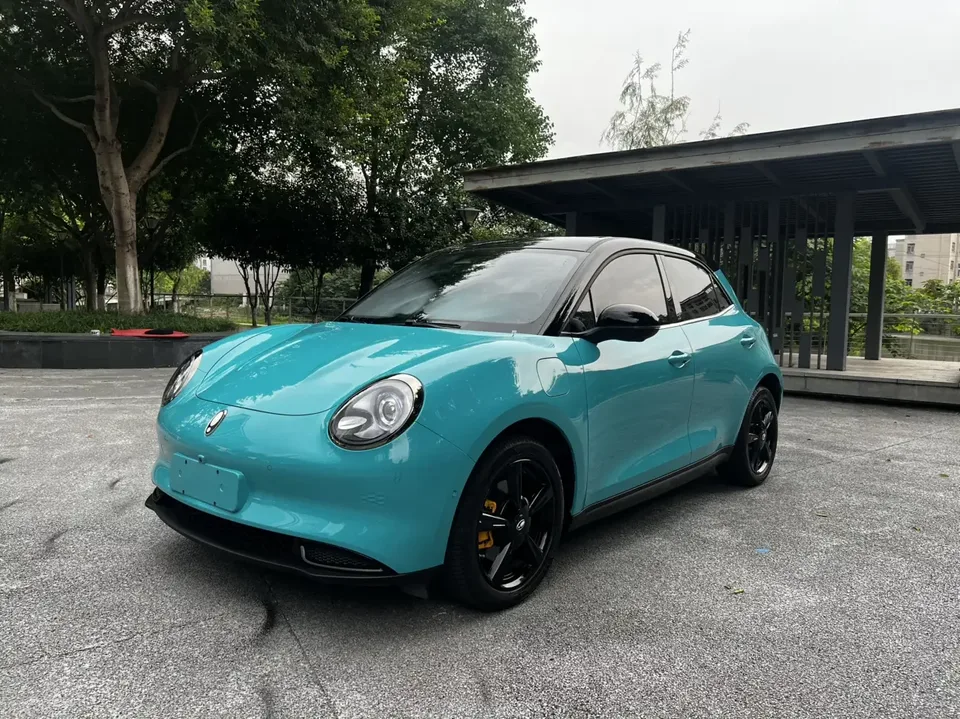 ORA Euler Good Cat GT Euler Good Cat GT 2024 Mulan Edition 401km Premium 135kW 2025 — photo 1, buy with delivery to Moscow
