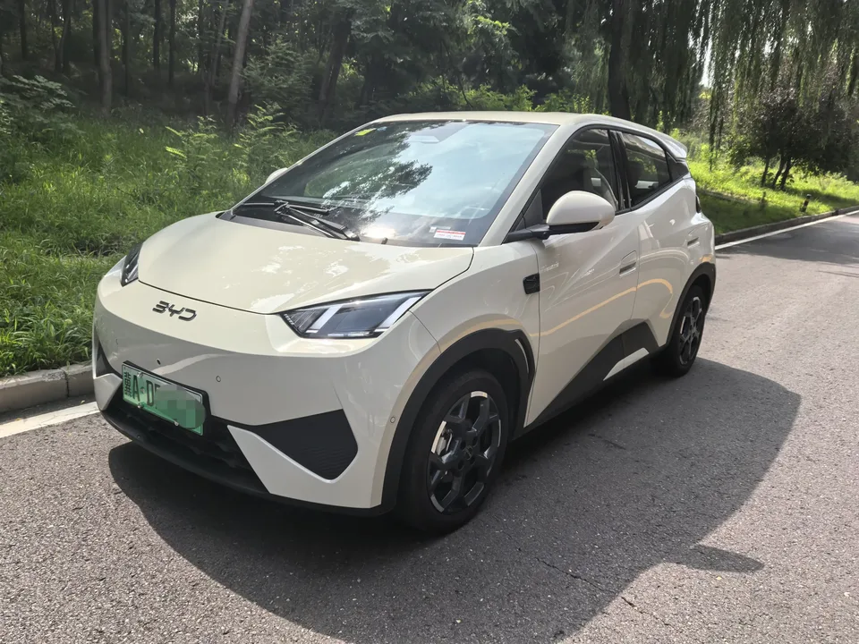 BYD Seagull seagull 2026 Free version 2026 — photo 1, buy with delivery to Moscow