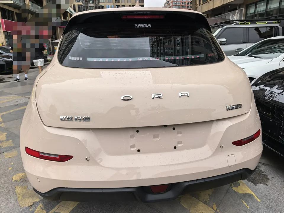 ORA Euler good cat Euler good cat 2023 401km standard endurance premium lithium iron phosphate 2023 — thumbnail 2