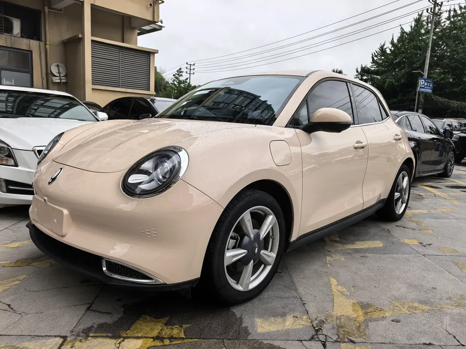 ORA Euler good cat Euler good cat 2023 401km standard endurance premium lithium iron phosphate 2023 — photo 1, buy with delivery to Moscow