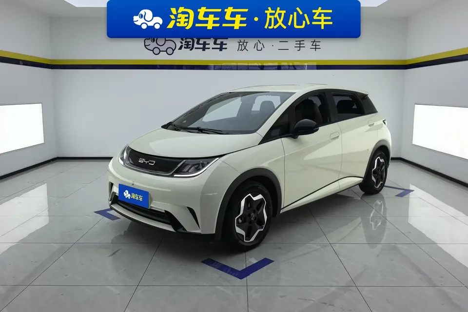 BYD Dolphin dolphin 2021 Free version 2023 — photo 1, buy with delivery to Moscow