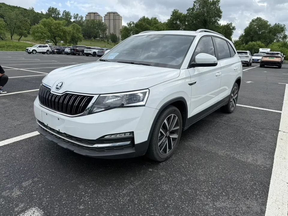 Skoda Comek Comek 2023 Modified 1.5L Automatic Comfort Edition 2023 — photo 1, buy with delivery to Moscow