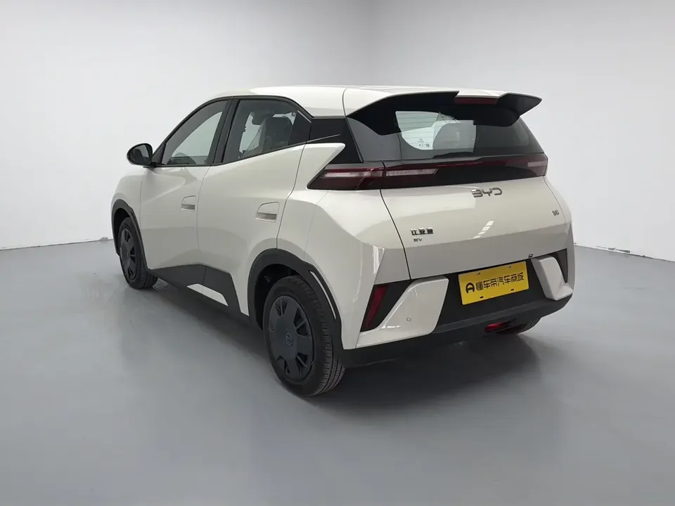 BYD Seagull seagull 2025 Smart Driving Edition 305KM Vitality Edition 2026 — thumbnail 2
