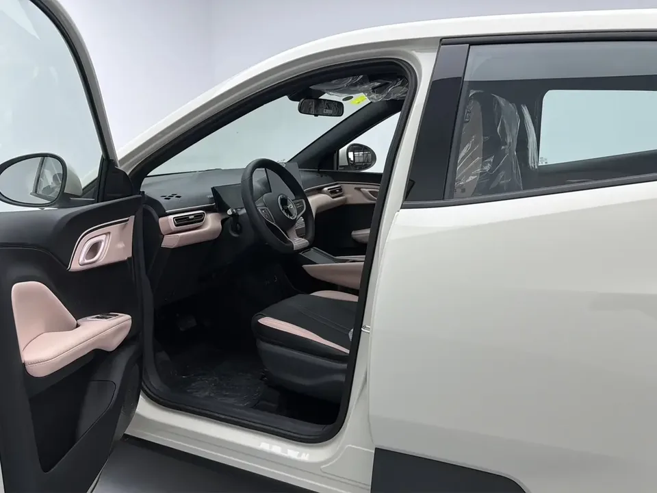 BYD Seagull seagull 2025 Smart Driving Edition 305KM Vitality Edition 2026 — thumbnail 5