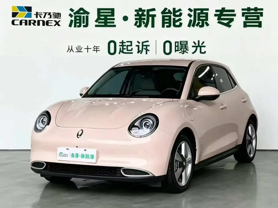 ORA Euler good cat Euler good cat 2023 401km standard endurance luxury lithium iron phosphate 2023 — photo 1, buy with delivery to Moscow