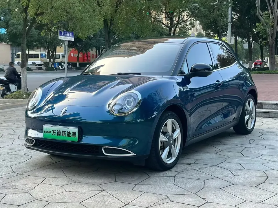 ORA Euler good cat Euler good cat 2023 401km standard endurance luxury lithium iron phosphate 2023 — photo 1, buy with delivery to Moscow