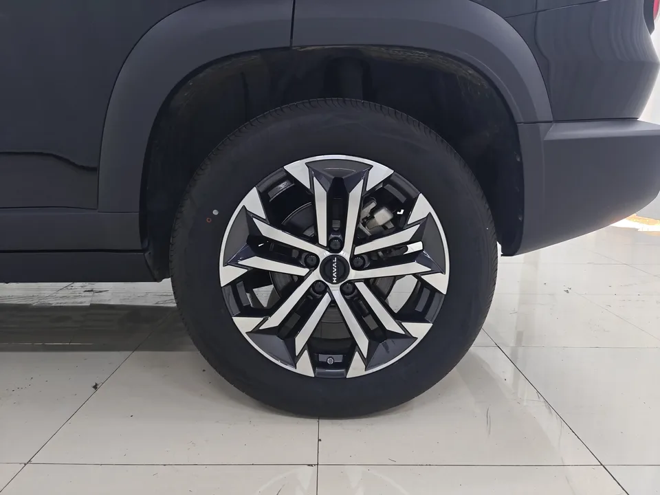 Haval Dargo Harvard dog 2024 1.5T 2WD Border Collie Edition 2024 — thumbnail 3