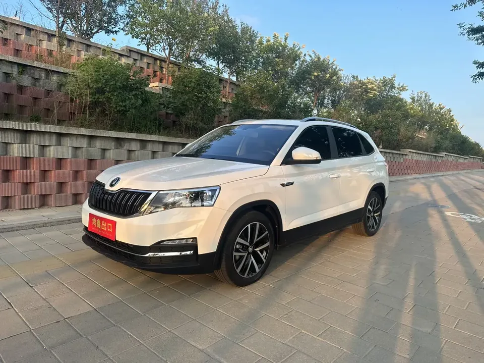 Skoda Comek Comek 2022 1.5L Automatic Comfort Edition 2022 — фото 1, купить с доставкой в Москву