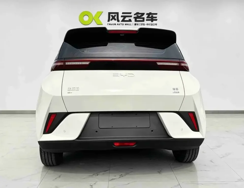 BYD Seagull seagull 2025 305KM Vitality Edition 2025 — thumbnail 2