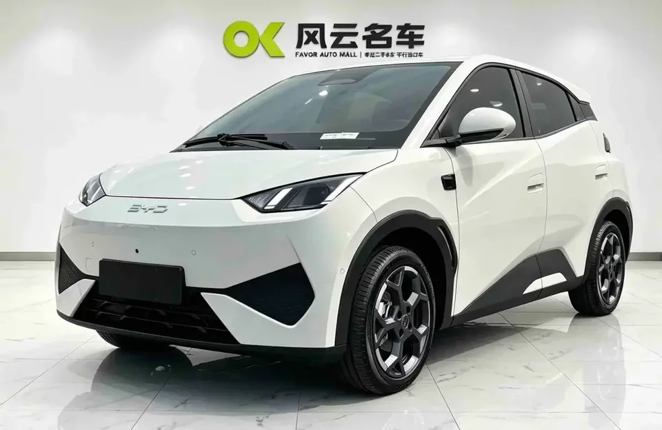BYD Seagull seagull 2025 305KM Vitality Edition 2025 — photo 1, buy with delivery to Moscow