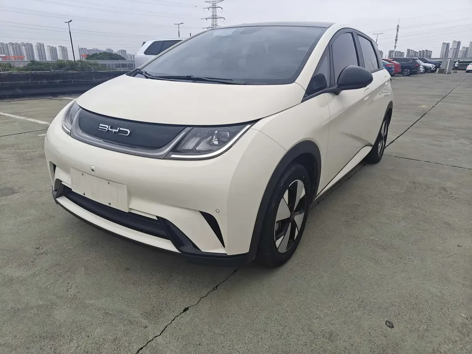 BYD Dolphin dolphin 2023 Fashion version 2023 — photo 1, buy with delivery to Moscow