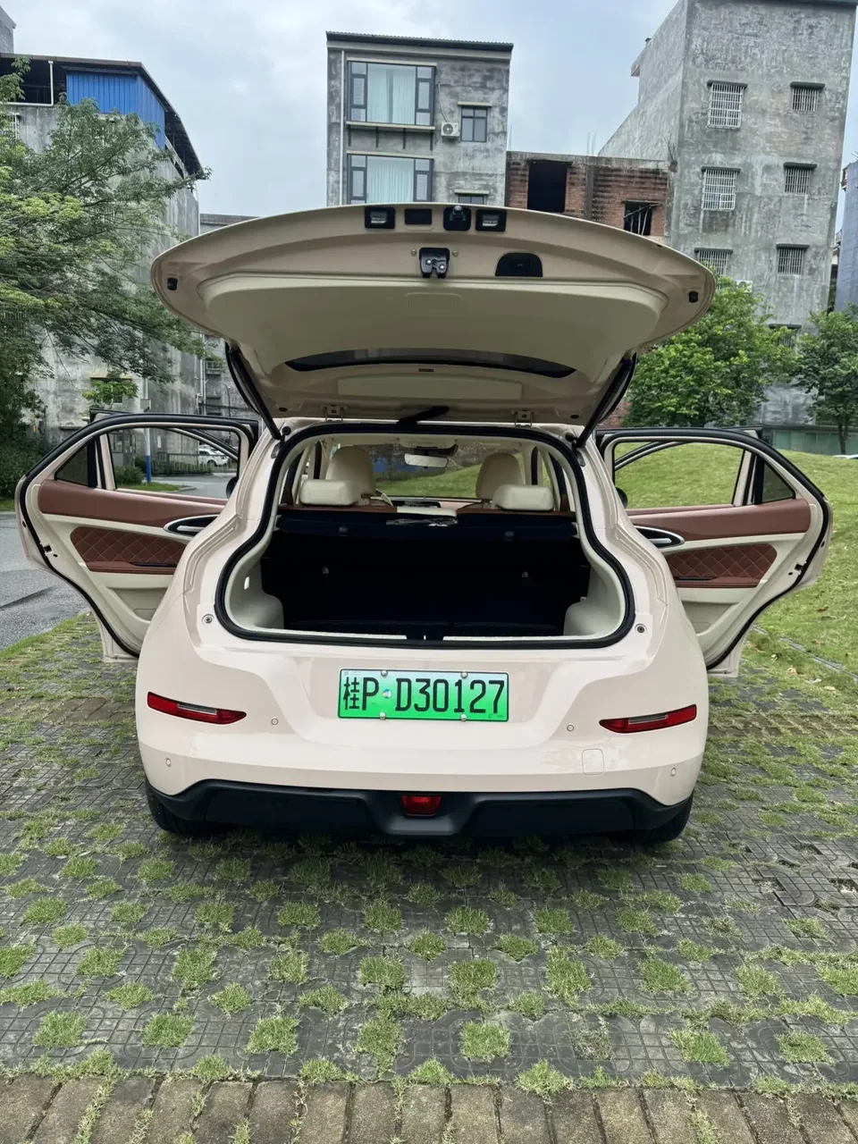 ORA Euler good cat Euler good cat 2022 Morandi version 400km standard endurance premium ternary lithium 2022 — thumbnail 3