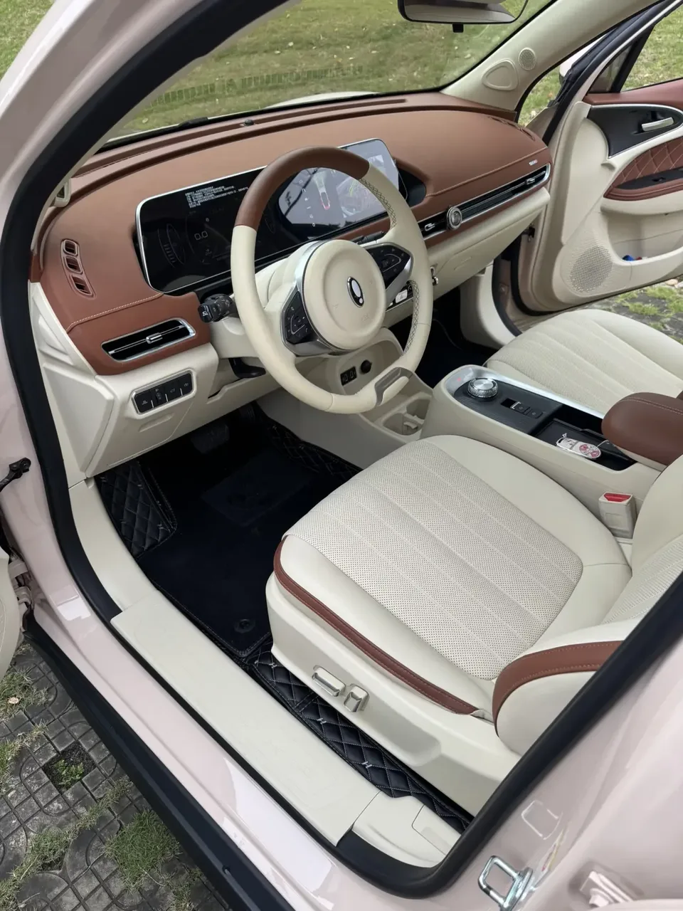 ORA Euler good cat Euler good cat 2022 Morandi version 400km standard endurance premium ternary lithium 2022 — thumbnail 5