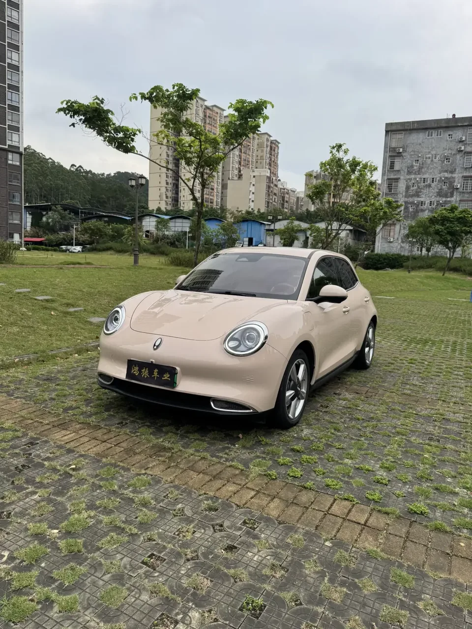 ORA Euler good cat Euler good cat 2022 Morandi version 400km standard endurance premium ternary lithium 2022 — photo 1, buy with delivery to Moscow