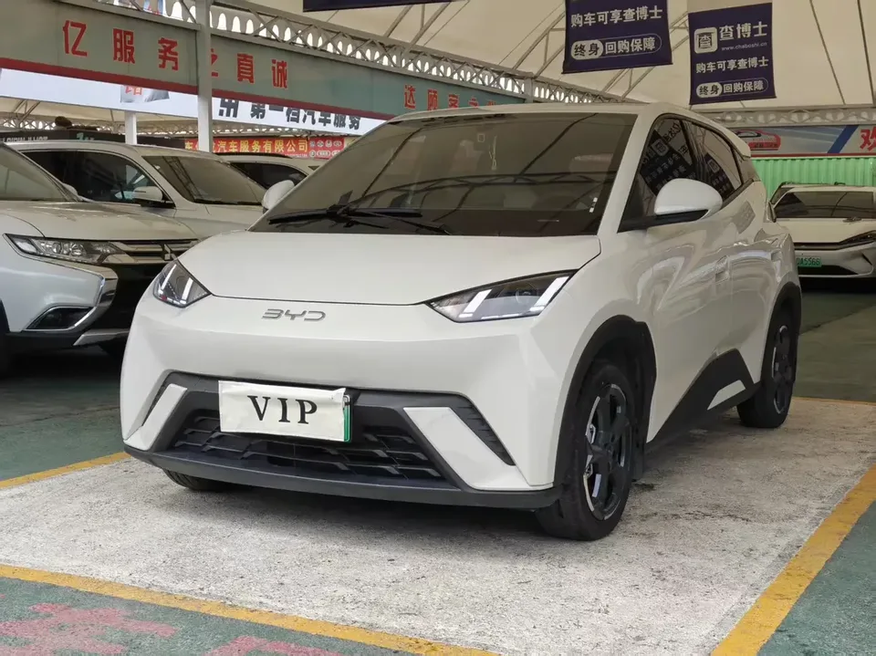 BYD Seagull seagull 2024 Honor Edition 405KM Flying Edition 2024 — photo 1, buy with delivery to Moscow