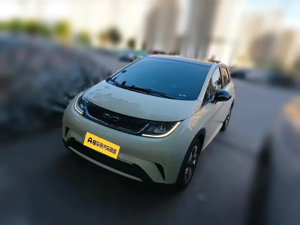 BYD Dolphin dolphin 2024 Honor Edition 420km Fashion Edition 2024 — photo 1, buy with delivery to Moscow