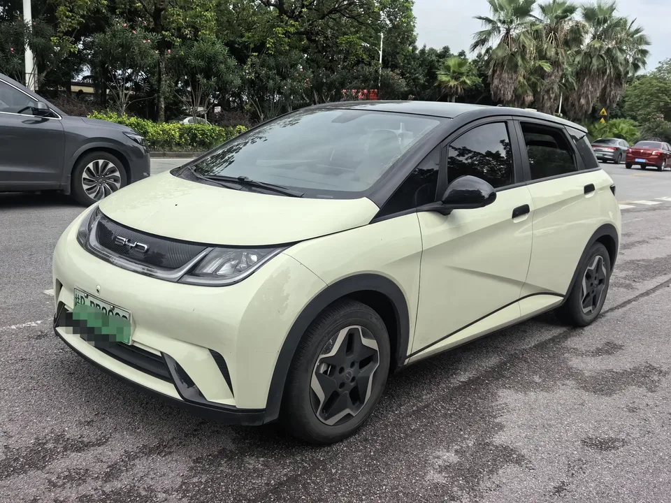 BYD Dolphin dolphin 2021 Free version 2022 — photo 1, buy with delivery to Moscow