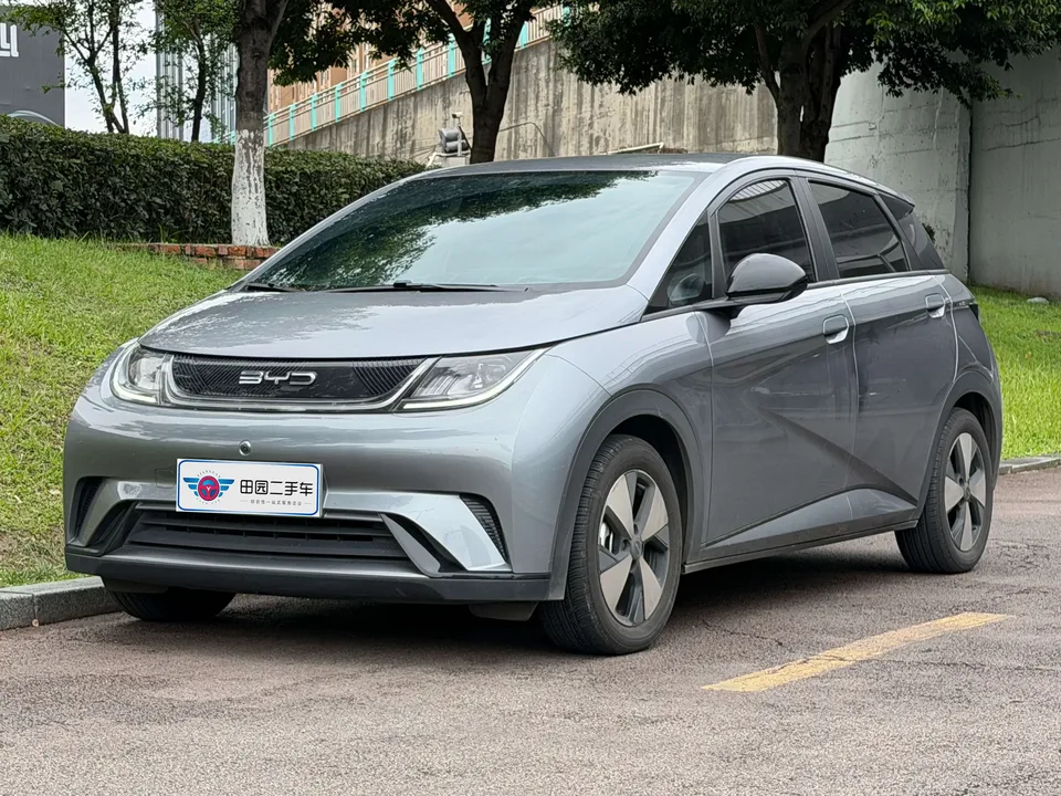 BYD Dolphin dolphin 2023 Free version 2023 — photo 1, buy with delivery to Moscow