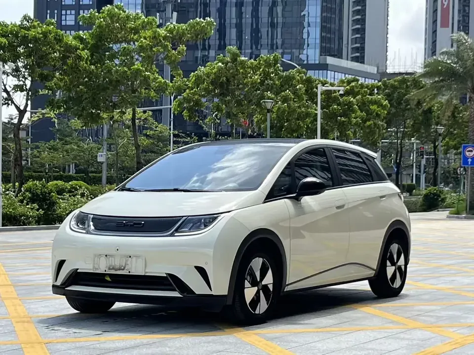 BYD Dolphin dolphin 2023 Fashion version 2023 — photo 1, buy with delivery to Moscow