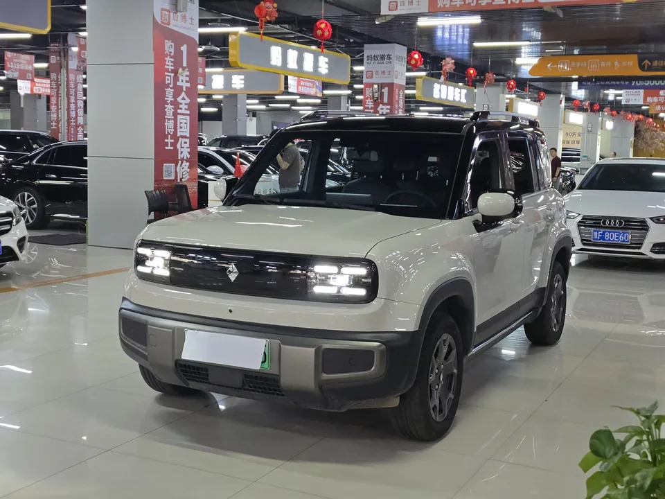 Baojun Yueya Plus Yueya Plus 2026 301km Flagship Edition 2026 — photo 1, buy with delivery to Moscow