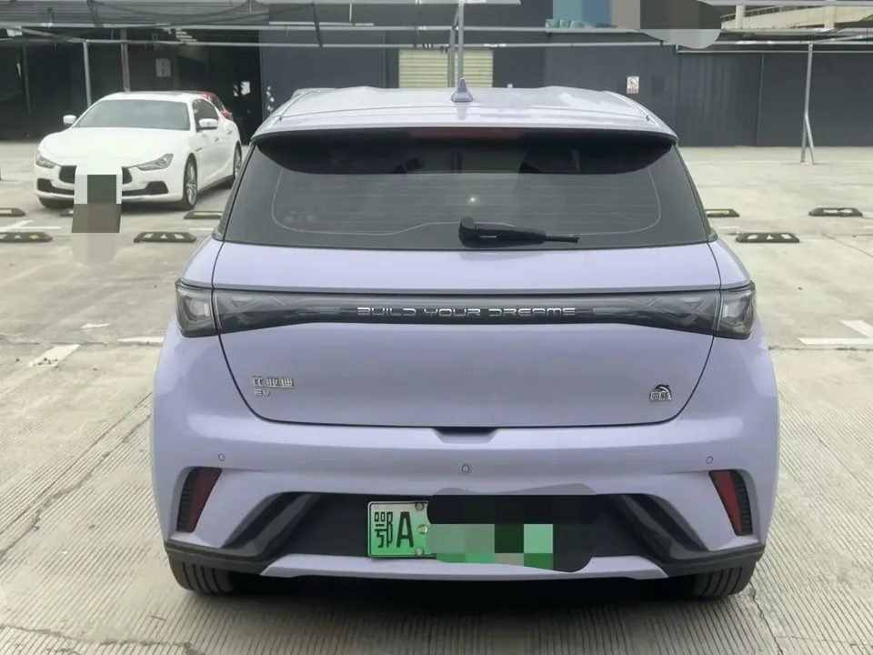 BYD Dolphin dolphin 2023 Free version 2024 — thumbnail 2