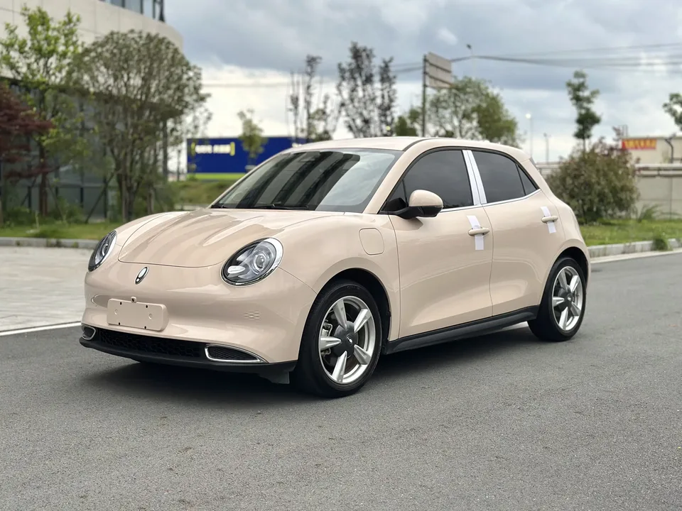 ORA Euler good cat Euler good cat 2023 401km standard endurance luxury lithium iron phosphate 2023 — photo 1, buy with delivery to Moscow