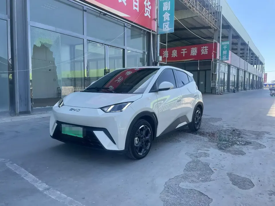 BYD Seagull seagull 2025 305KM Vitality Edition 2025 — photo 1, buy with delivery to Moscow