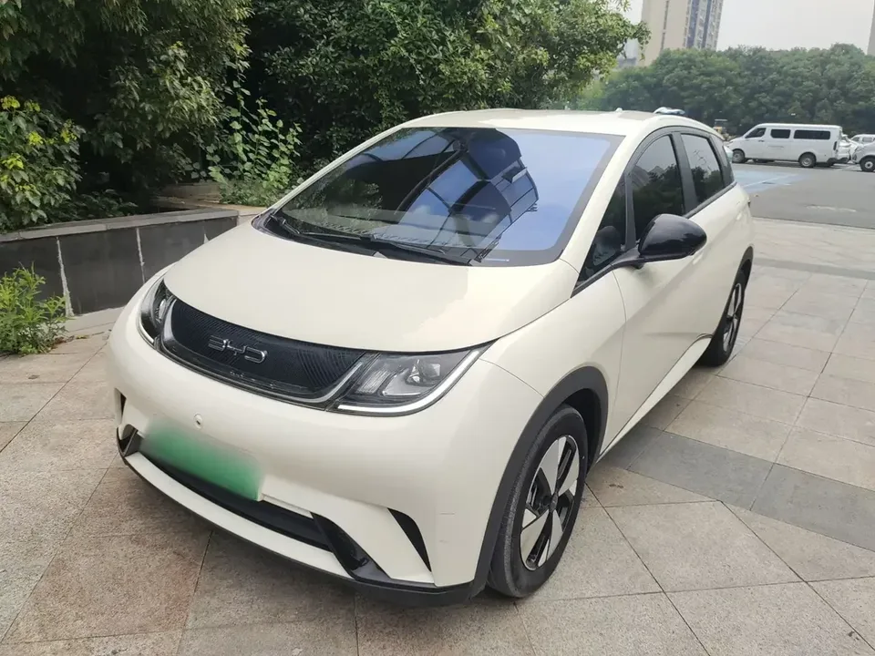 BYD Dolphin dolphin 2023 Free version 2023 — photo 1, buy with delivery to Moscow