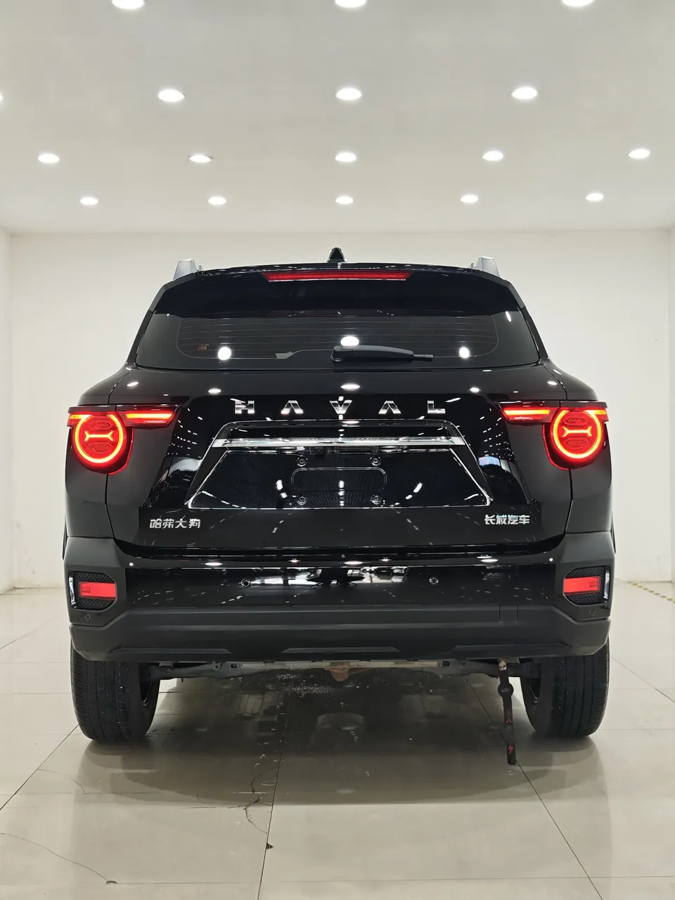 Haval H-Dog Haval Big Dog PLUS 2023 1.5T 2WD Trendy Wild Edition Plus 2024 — thumbnail 2