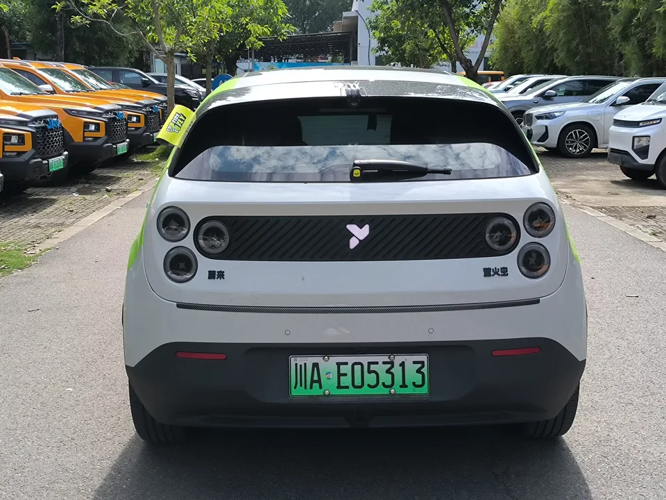 Firefly firefly firefly 2025 Luminous version 2025 — миниатюра 2
