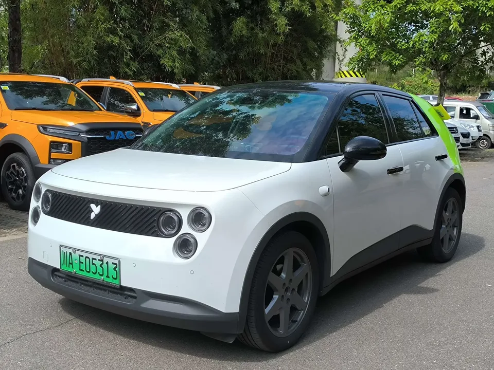 Firefly firefly firefly 2025 Luminous version 2025 — photo 1, buy with delivery to Moscow