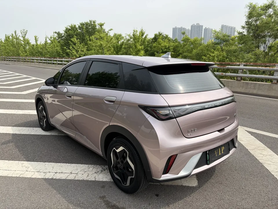 BYD Dolphin dolphin 2021 Fashion version 2023 — thumbnail 2