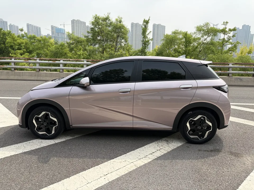 BYD Dolphin dolphin 2021 Fashion version 2023 — thumbnail 4