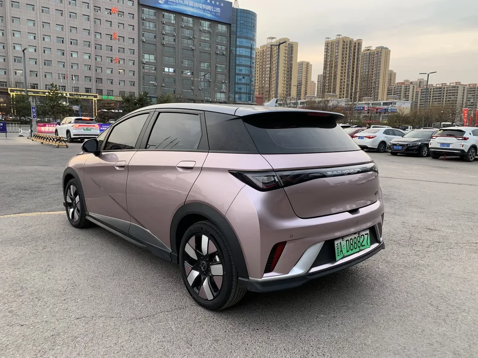 BYD Dolphin dolphin 2021 Knight Edition 2022 — thumbnail 2