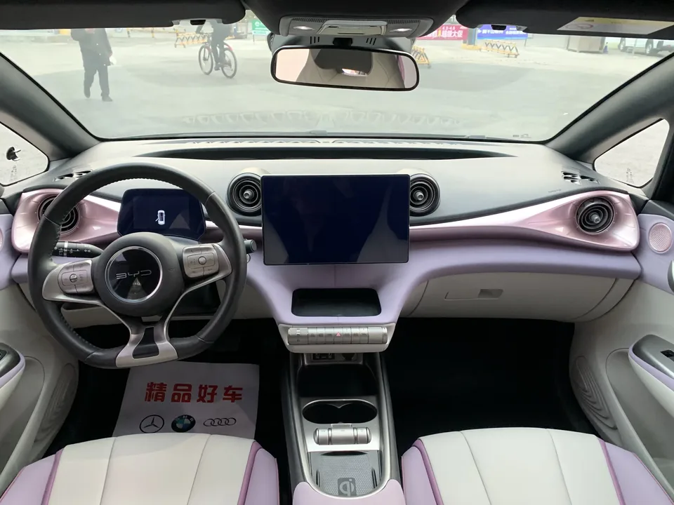 BYD Dolphin dolphin 2021 Knight Edition 2022 — thumbnail 5