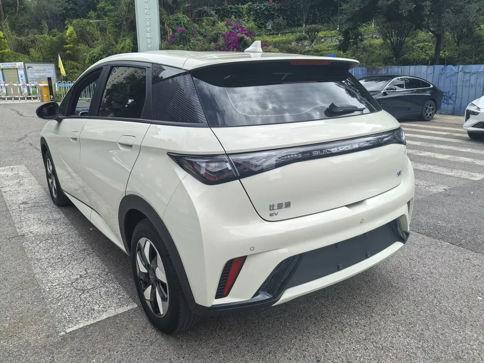 BYD Dolphin dolphin 2024 Glory Edition 420km Freedom Edition 2024 — thumbnail 4
