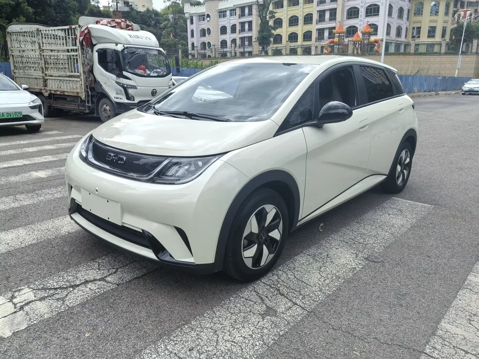 BYD Dolphin dolphin 2024 Glory Edition 420km Freedom Edition 2024 — photo 1, buy with delivery to Moscow