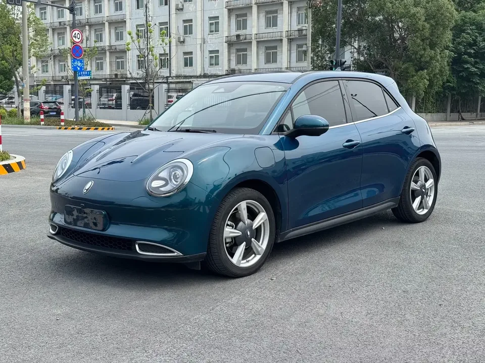 ORA Euler good cat Euler good cat 2023 401km standard endurance comfort type lithium iron phosphate 2023 — photo 1, buy with delivery to Moscow