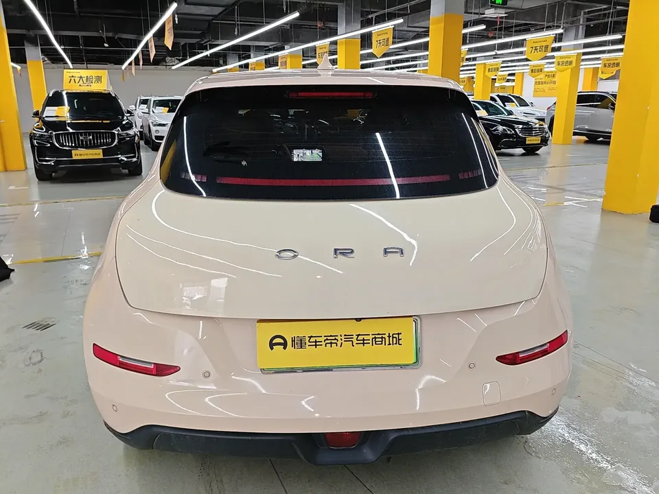 ORA Euler good cat Euler good cat 2022 400km standard endurance premium lithium iron phosphate 2023 — thumbnail 2