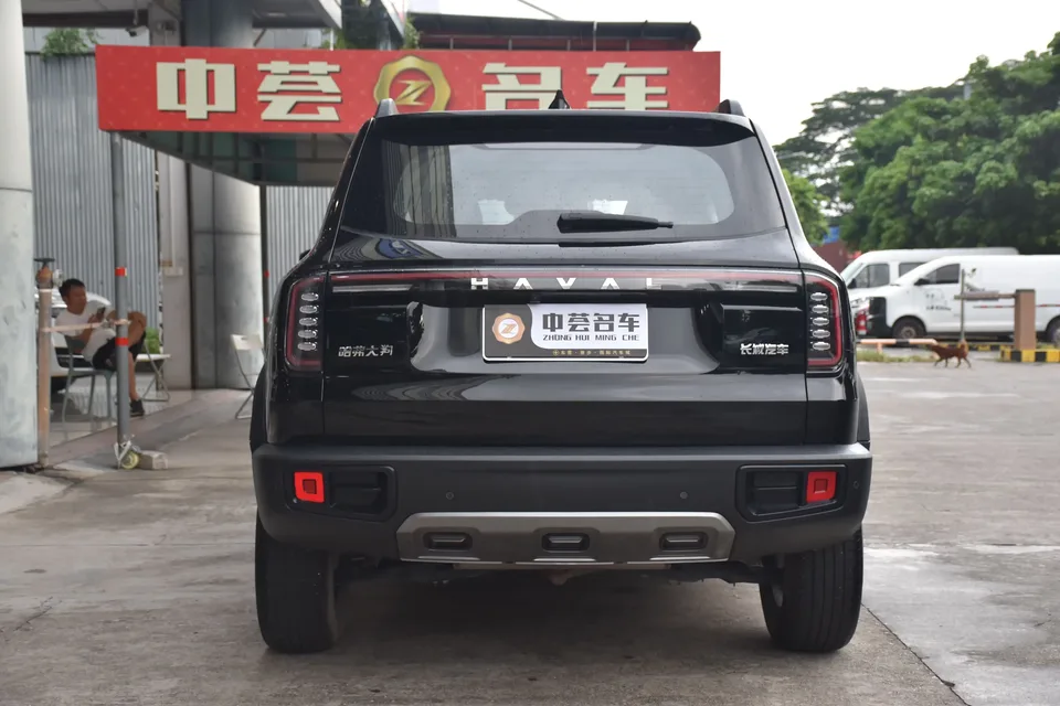 Haval Dargo Harvard dog 2024 1.5T 2WD Border Collie Edition 2024 — thumbnail 2