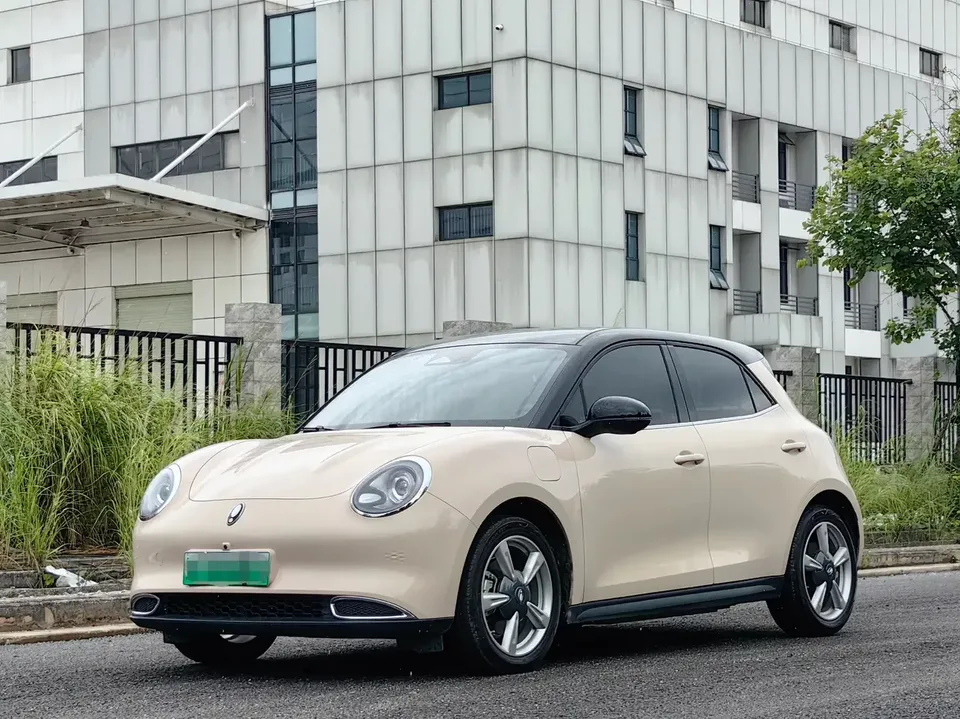 ORA Euler good cat Euler good cat 2021 400km standard range Muse version ternary lithium battery 2023 — photo 1, buy with delivery to Moscow
