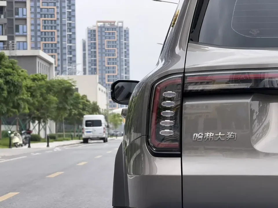Haval Dargo Harvard dog 2024 1.5T 2WD Border Collie Edition 2023 — thumbnail 3
