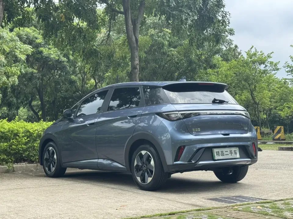 BYD Dolphin dolphin 2025 420KM Vitality Edition 2025 — thumbnail 5