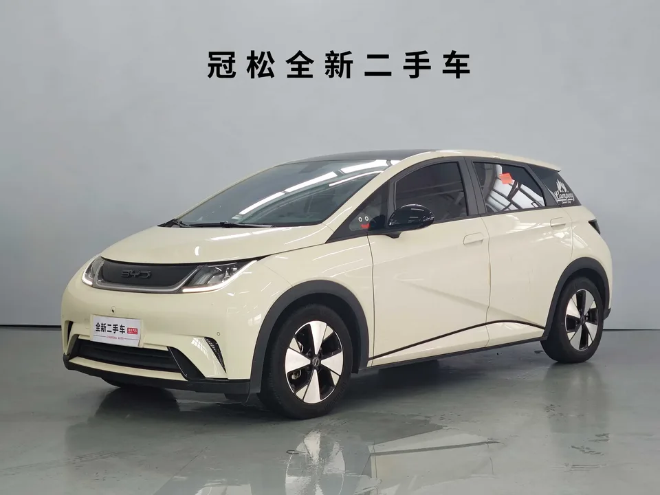 BYD Dolphin dolphin 2023 Fashion version 2023 — photo 1, buy with delivery to Moscow